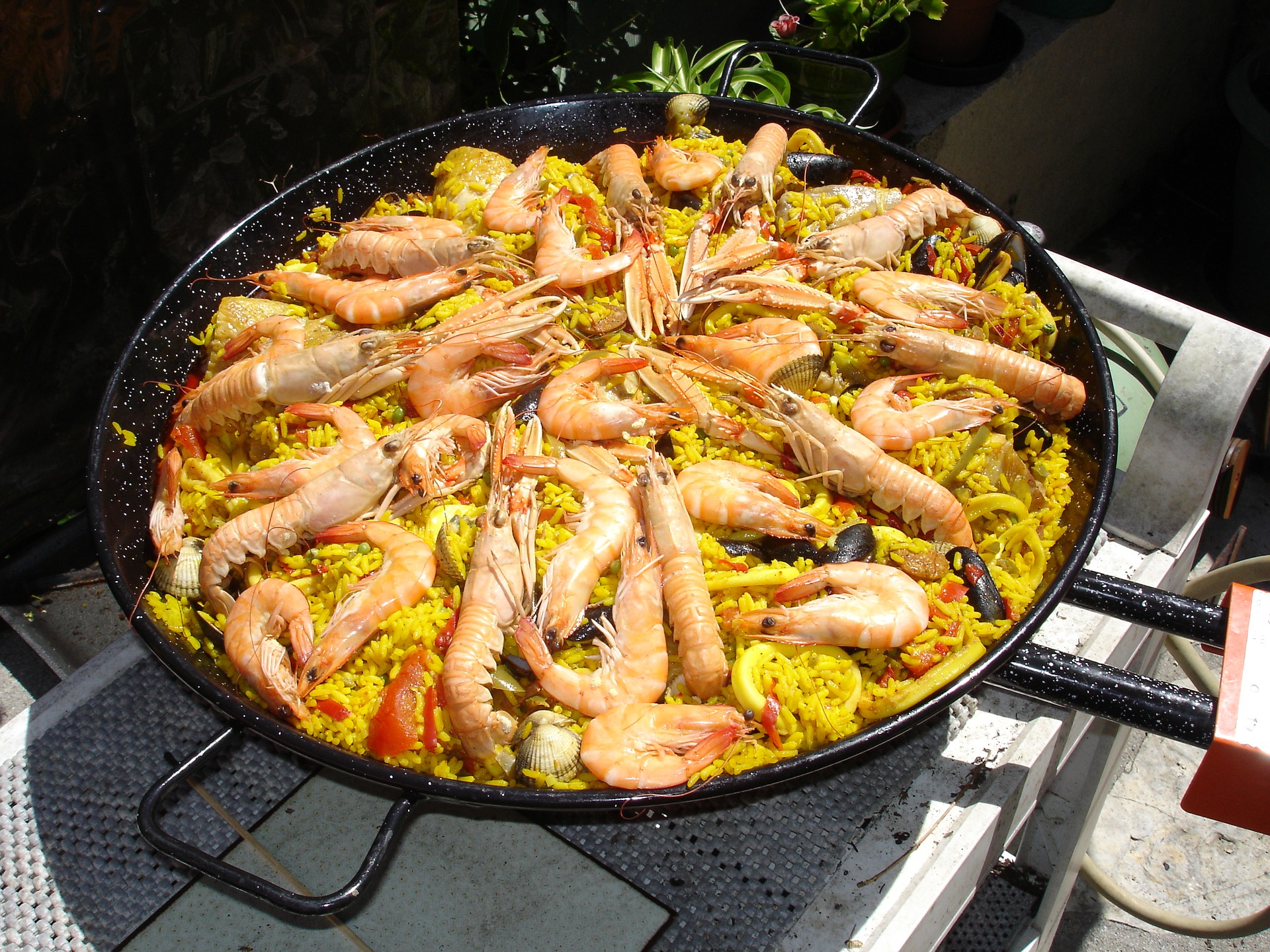 Paella Catering live in Köln Paella & Cava spanisches Event